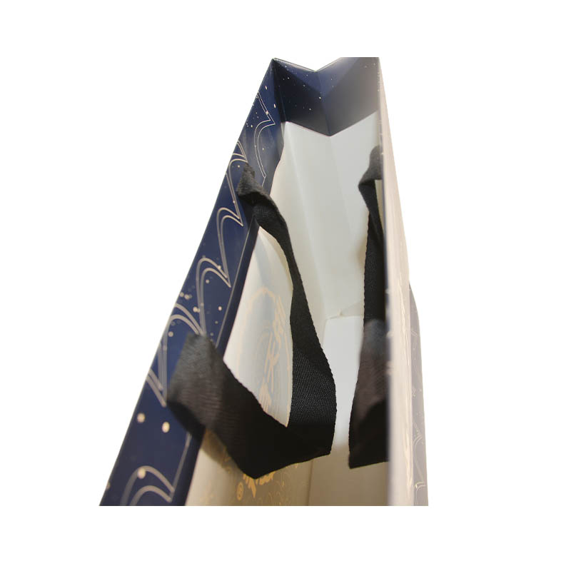 Consumer Shopping Bags