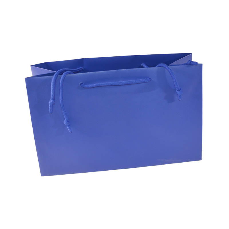 Consumer Shopping Bags