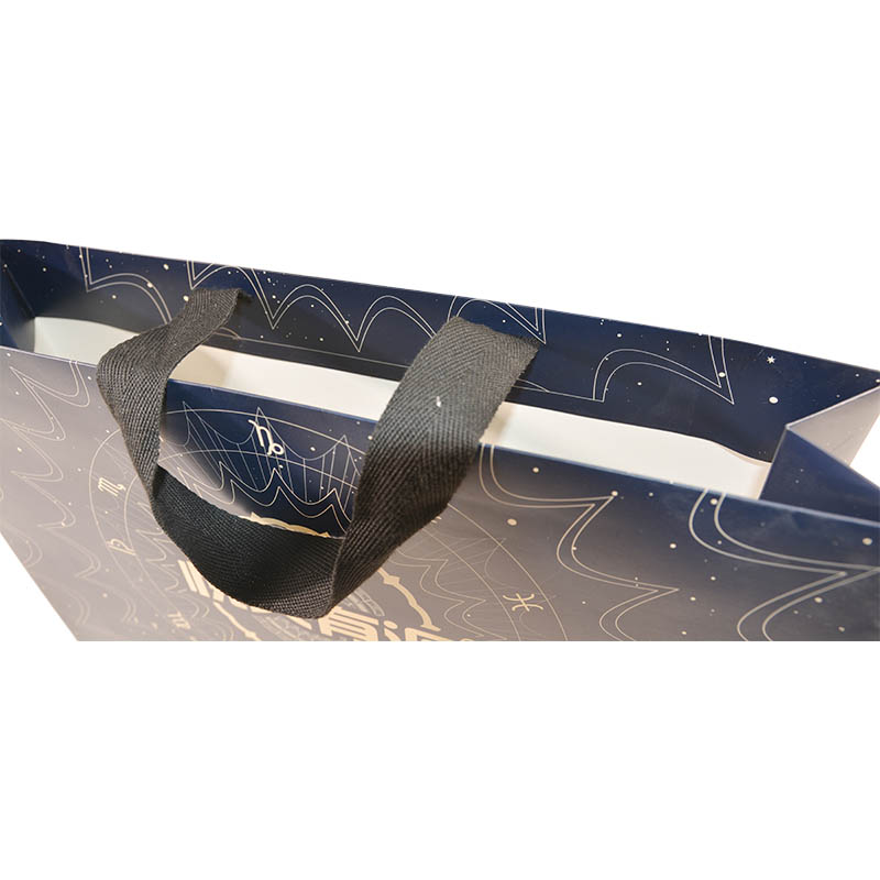 Consumer Shopping Bags